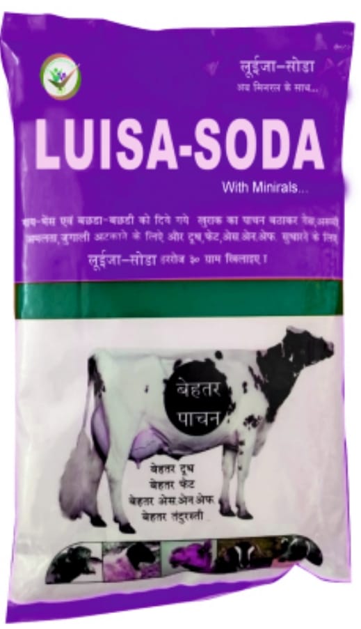 LUISA-SODA