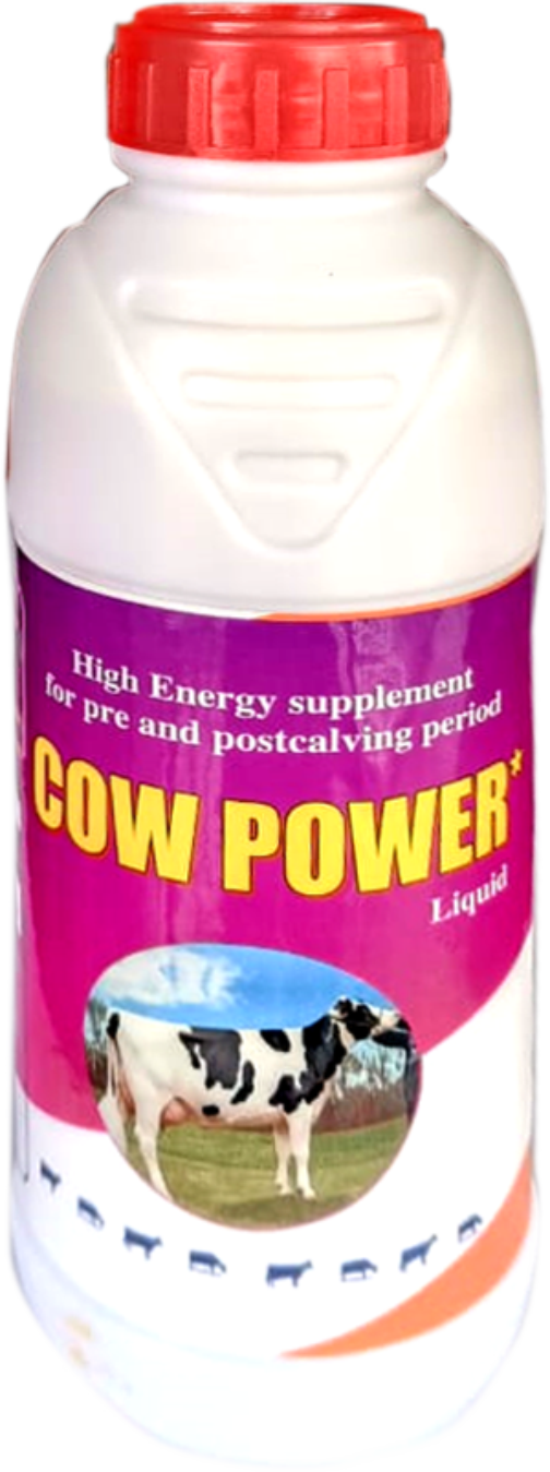 Cow Power